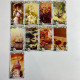 Карти Ленорман Lenormand Vintage вінтажний стиль оракул дві колоди