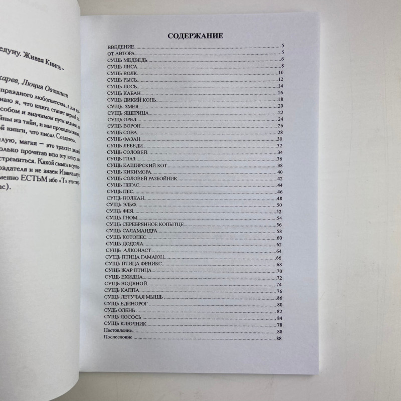 Книга Сущі. На допомогу Відьмі та Ведуну — Олена Полин, магічні практики