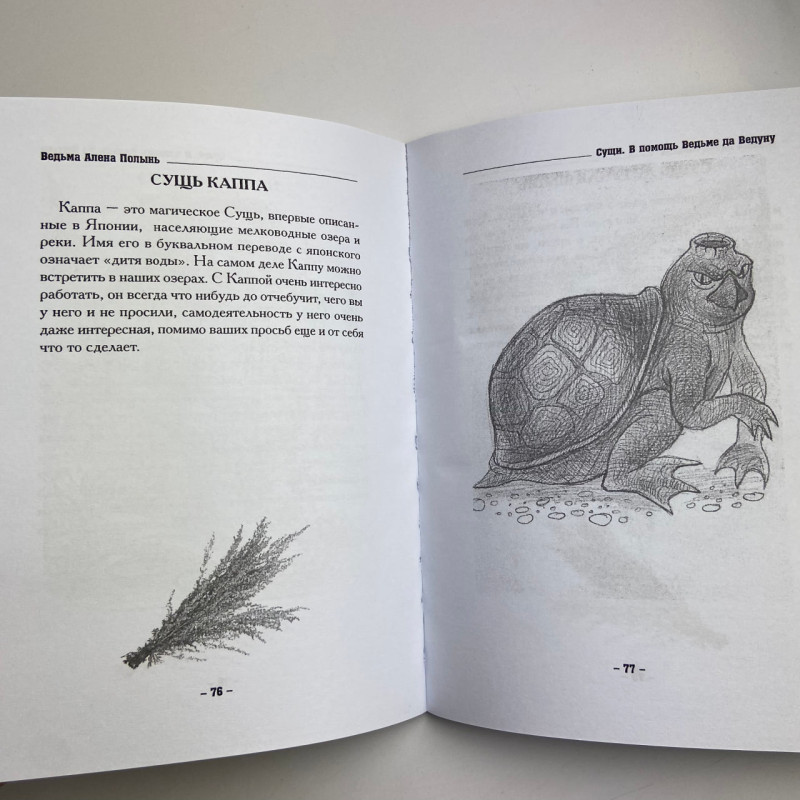 Книга Сущі. На допомогу Відьмі та Ведуну — Олена Полин, магічні практики