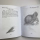 Книга Сущі. На допомогу Відьмі та Ведуну — Олена Полин, магічні практики