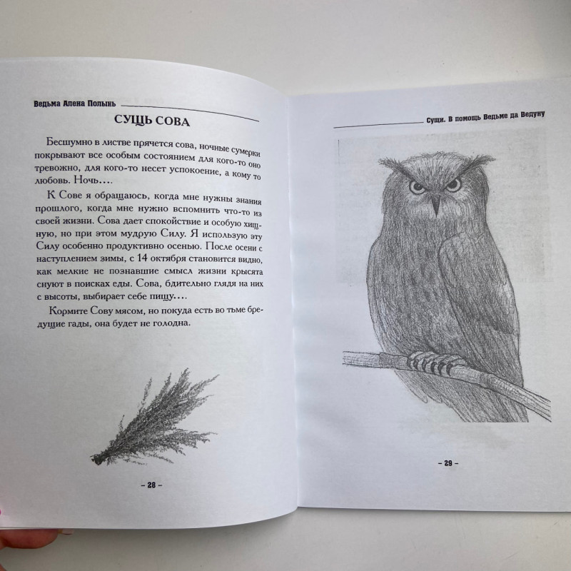 Книга Сущі. На допомогу Відьмі та Ведуну — Олена Полин, магічні практики