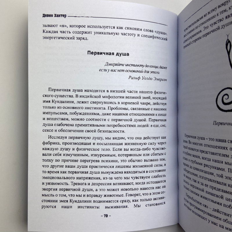Книга Книга чаклунської сили Девін Хантер практики чаклунства та розвитку магічних здібностей