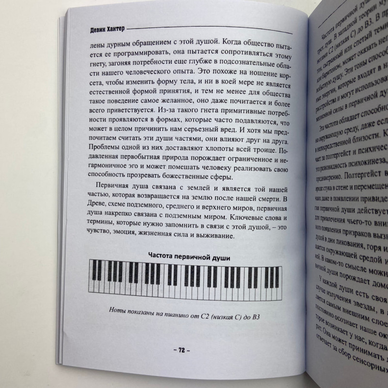 Книга Книга чаклунської сили Девін Хантер практики чаклунства та розвитку магічних здібностей