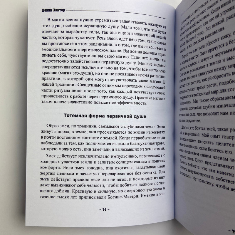 Книга Книга чаклунської сили Девін Хантер практики чаклунства та розвитку магічних здібностей