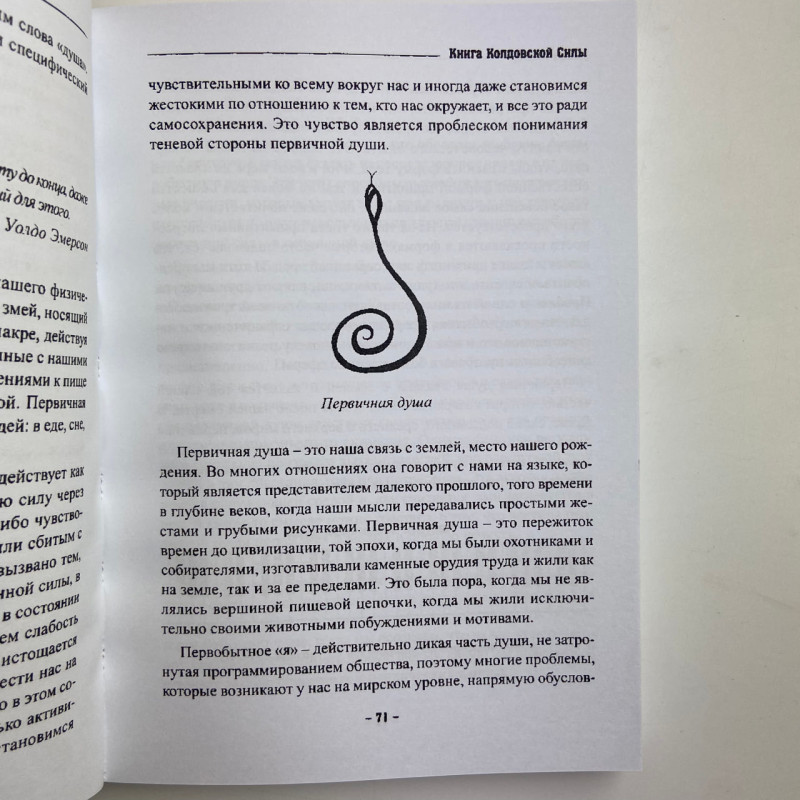 Книга Книга чаклунської сили Девін Хантер практики чаклунства та розвитку магічних здібностей