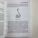Книга Книга чаклунської сили Девін Хантер практики чаклунства та розвитку магічних здібностей
