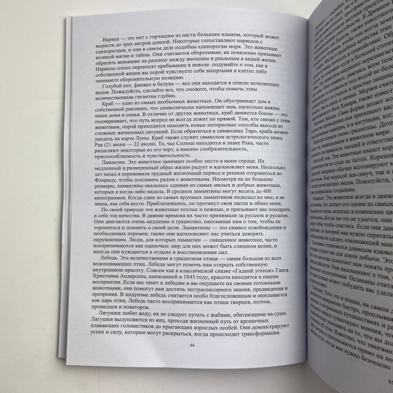 Книга Магія Води. Всі таємниці стихії в одній книзі — Ліліт Дорсі
