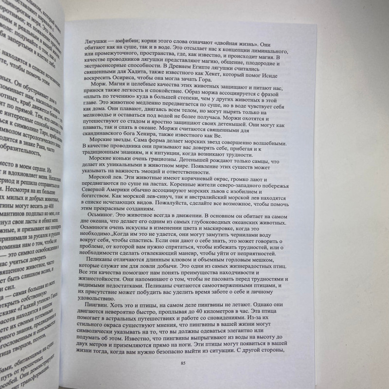 Книга Магія Води. Всі таємниці стихії в одній книзі — Ліліт Дорсі