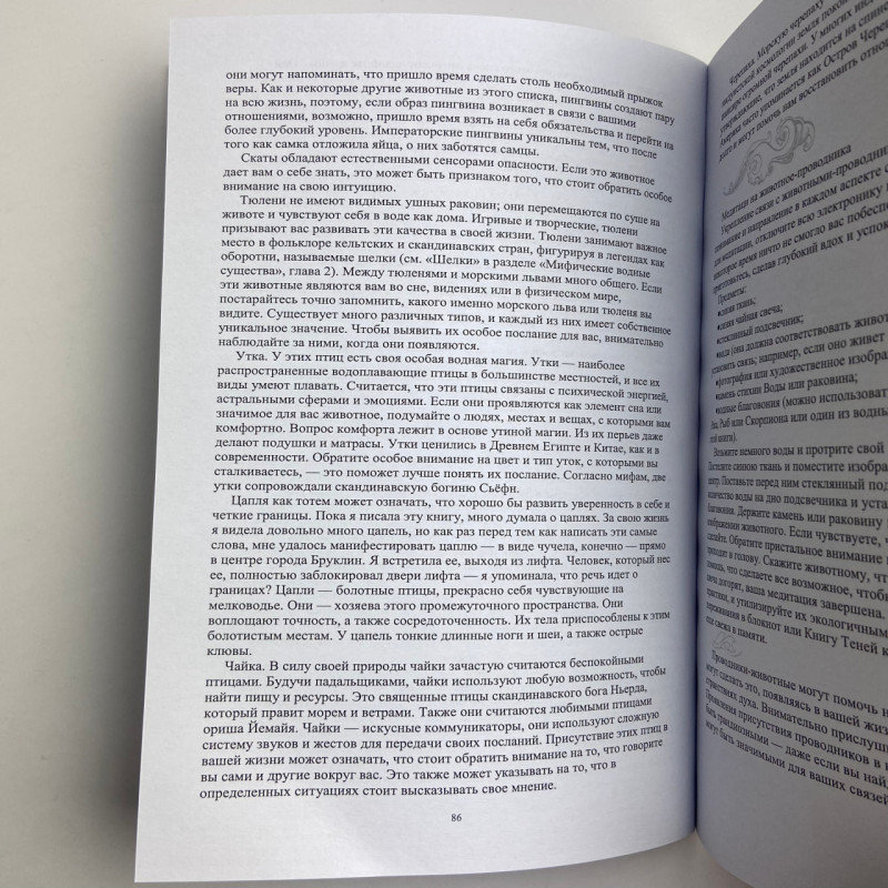 Книга Магія Води. Всі таємниці стихії в одній книзі — Ліліт Дорсі