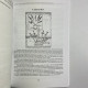 Книга Ніж відьми: історія та магія ритуальних клинків Джейсон Манкі