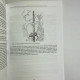 Книга Ніж відьми: історія та магія ритуальних клинків Джейсон Манкі