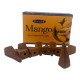 Арома-конуси backflow Satya Mango Dhoop Cones пахощі з ароматом манго