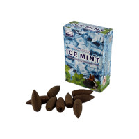 Арома-конусы backflow Darshan Ice Mint (Ледяная мята) благовония для дома