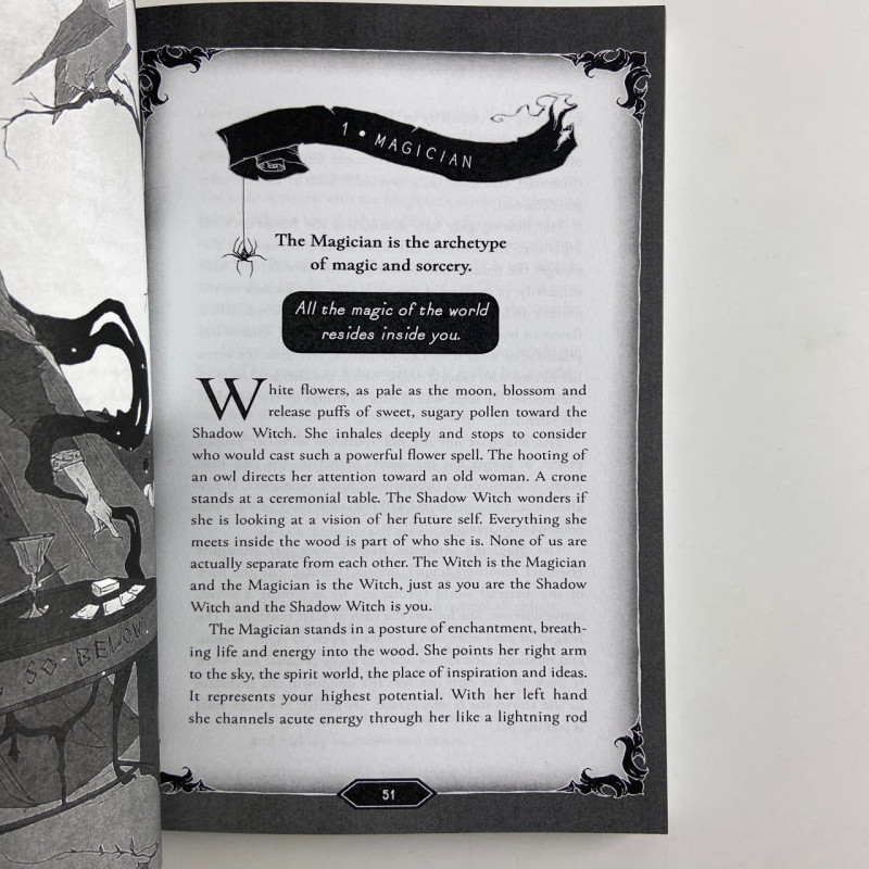 Карти Таро Dark Wood Tarot Темний ліс подарунковий набір з книгою