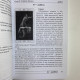 Карти Таро Ніколетта Чекколі з книгою По той бік снів (Є. Коломенська)