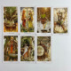 Карти Таро Wild Wood Tarot Дикий ліс зменшена колода з кельтською тематикою
