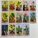 Карты Таро Herbal Tarot «Травы», уменьшенная колода в стиле Райдера-Уэйта