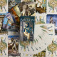 Карты Таро Erotic Fantasy Tarot Deck «Эротические фантазии» уменьшенная колода