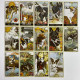 Таро-карты Wise Dog Tarot «Мудрая Собака», уменьшенная колода Райдера—Уэйта