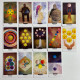 Карты Таро The Field Tarot (Полевое Таро) — компактная колода с ботанической тематикой