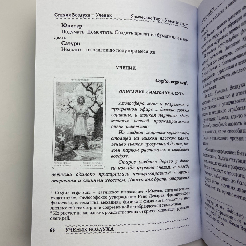 Карти Таро Язичницьке комплект книга і колода Джіні Пейс Олексій Лобанов