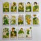 Карти Таро Tarot of the Old Path Старого Шляху зменшена колода