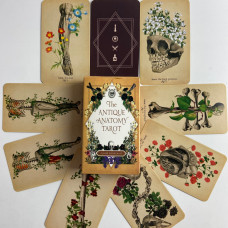 Карти Таро Antique Anatomy Tarot Антична анатомія вінтажна анатомічна колода