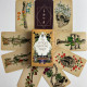 Карти Таро Antique Anatomy Tarot Антична анатомія вінтажна анатомічна колода