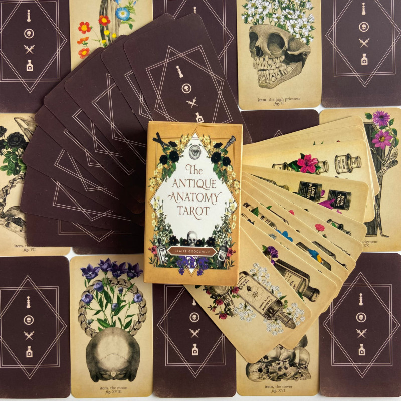 Карти Таро Antique Anatomy Tarot Антична анатомія вінтажна анатомічна колода