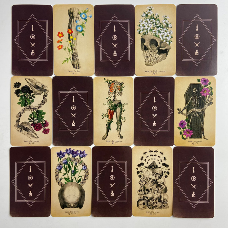 Карти Таро Antique Anatomy Tarot Антична анатомія вінтажна анатомічна колода
