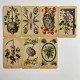 Карти Таро Antique Anatomy Tarot Антична анатомія вінтажна анатомічна колода