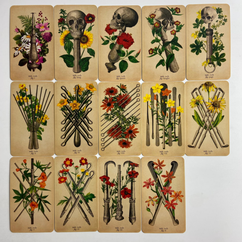 Карти Таро Antique Anatomy Tarot Антична анатомія вінтажна анатомічна колода
