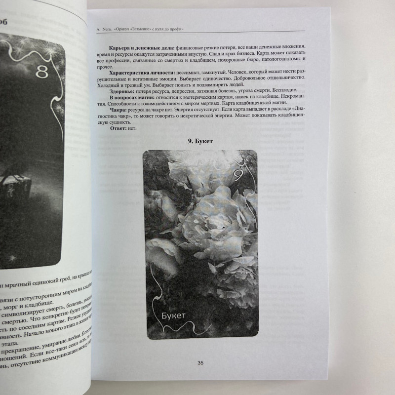 Книга Оракул Затемнення Аміри Eclipse Oracle by Amira самовчитель для тарологів Алла Nera