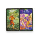 Карти Таро The Book of Shadows Tarot Книга Тіней 2 зменшена колода