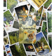 Карти Таро The Herbcrafter’s Tarot (Таро Травника) рослинна тематика зменшена колода