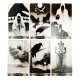 Карти Таро Murder of Crows Tarot Ворон Смерті готична чорно-біла колода