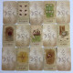 Карты Таро The Wild Wolf Tarot «Дикий волк», уменьшенная колода