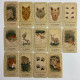 Карты Таро The Wild Wolf Tarot «Дикий волк», уменьшенная колода