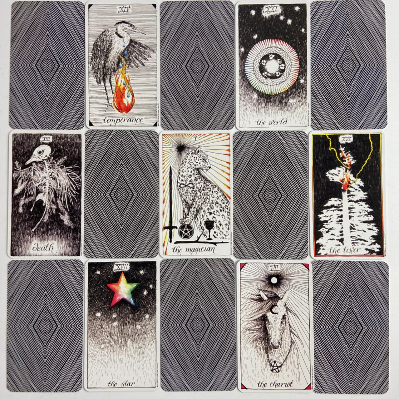Карты Таро The Wild Unknown Tarot Дикое неизвестное минималистичная колода