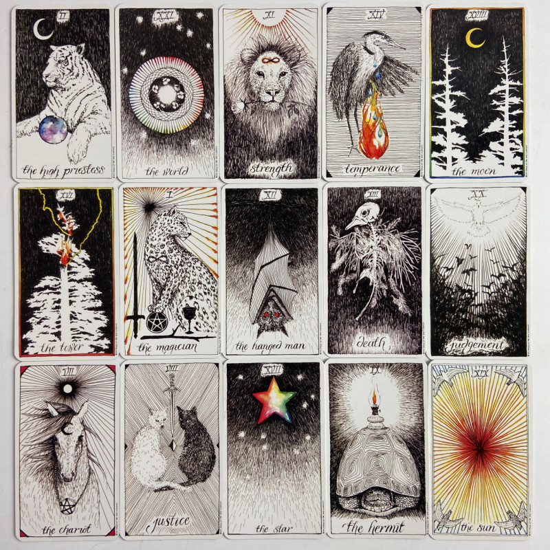 Карты Таро The Wild Unknown Tarot Дикое неизвестное минималистичная колода