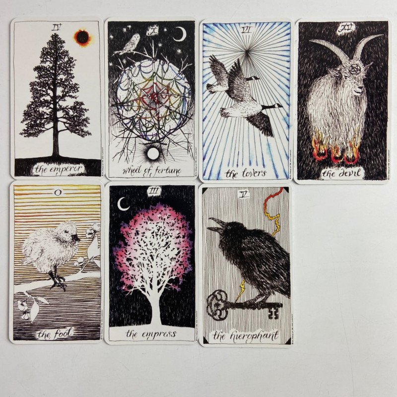 Карты Таро The Wild Unknown Tarot Дикое неизвестное минималистичная колода