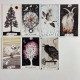 Карты Таро The Wild Unknown Tarot Дикое неизвестное минималистичная колода