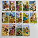Карти Таро African American Tarot афро-американська тематика зменшена колода