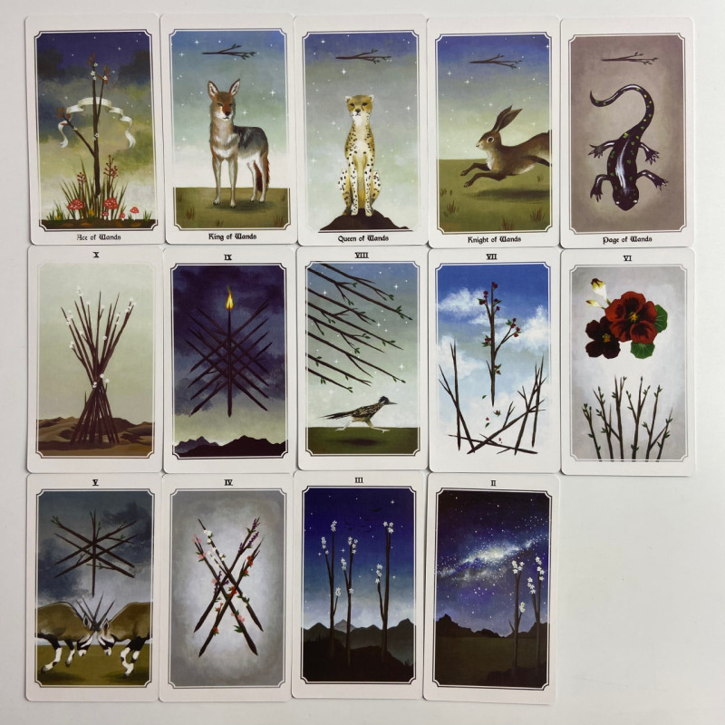 Карты Таро Anima Mundi Tarot «Души Мира», уменьшенная колода на основе Райдера—Уэйта