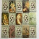 Таро-карты Ostara Tarot с животной символикой на английском языке