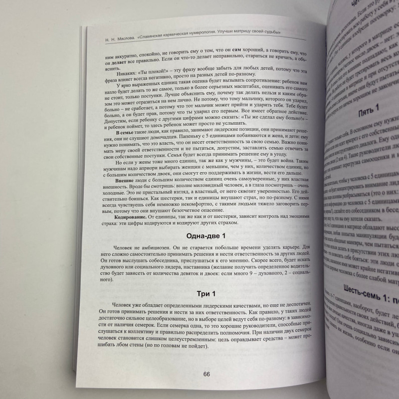 Книга Слов’янська кармічна нумерологія Покращи матрицю своєї долі Маслова Наталія