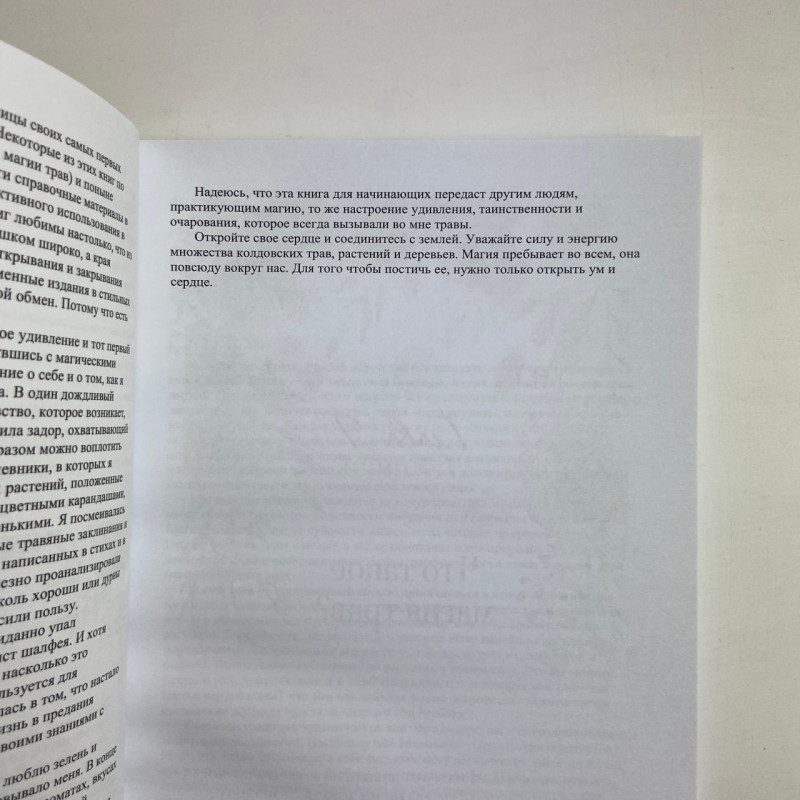 Книга Магія трав для початківців Приземлене чаклунство Еллен Дуган про трави та заклинання