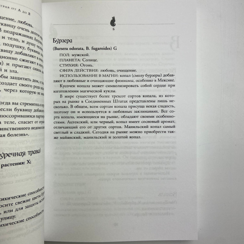 Книга Магія трав від А до Я Скотт Каннінгем енциклопедія чарівних рослин