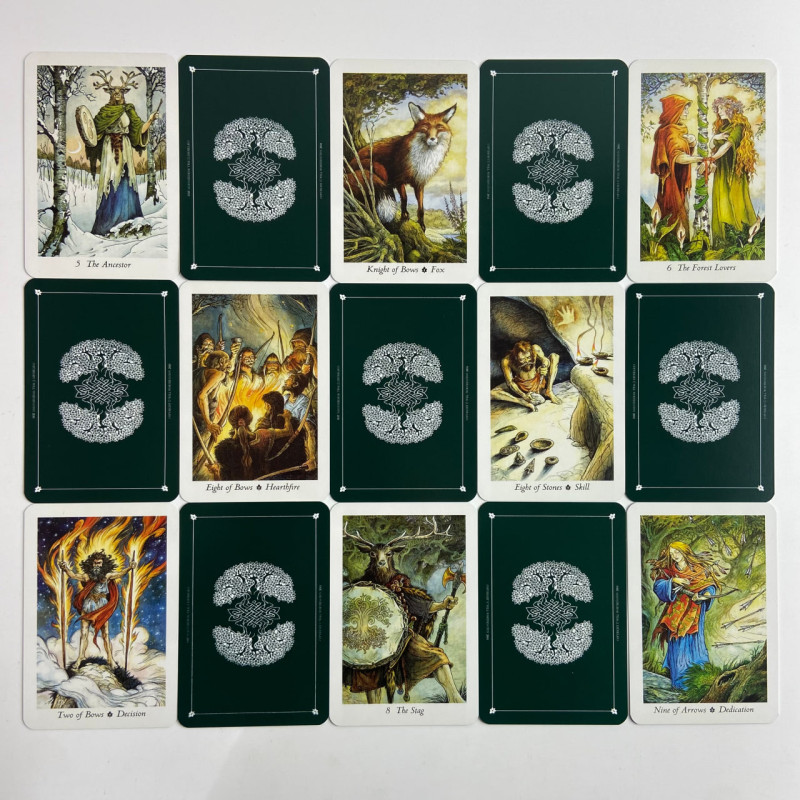Подарунковий набір карт Таро The Wildwood Tarot (Таро Дикого лісу) книга + карти