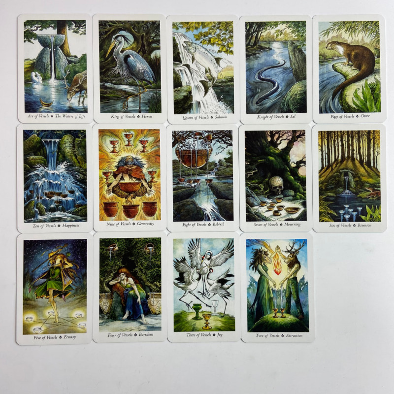 Подарунковий набір карт Таро The Wildwood Tarot (Таро Дикого лісу) книга + карти